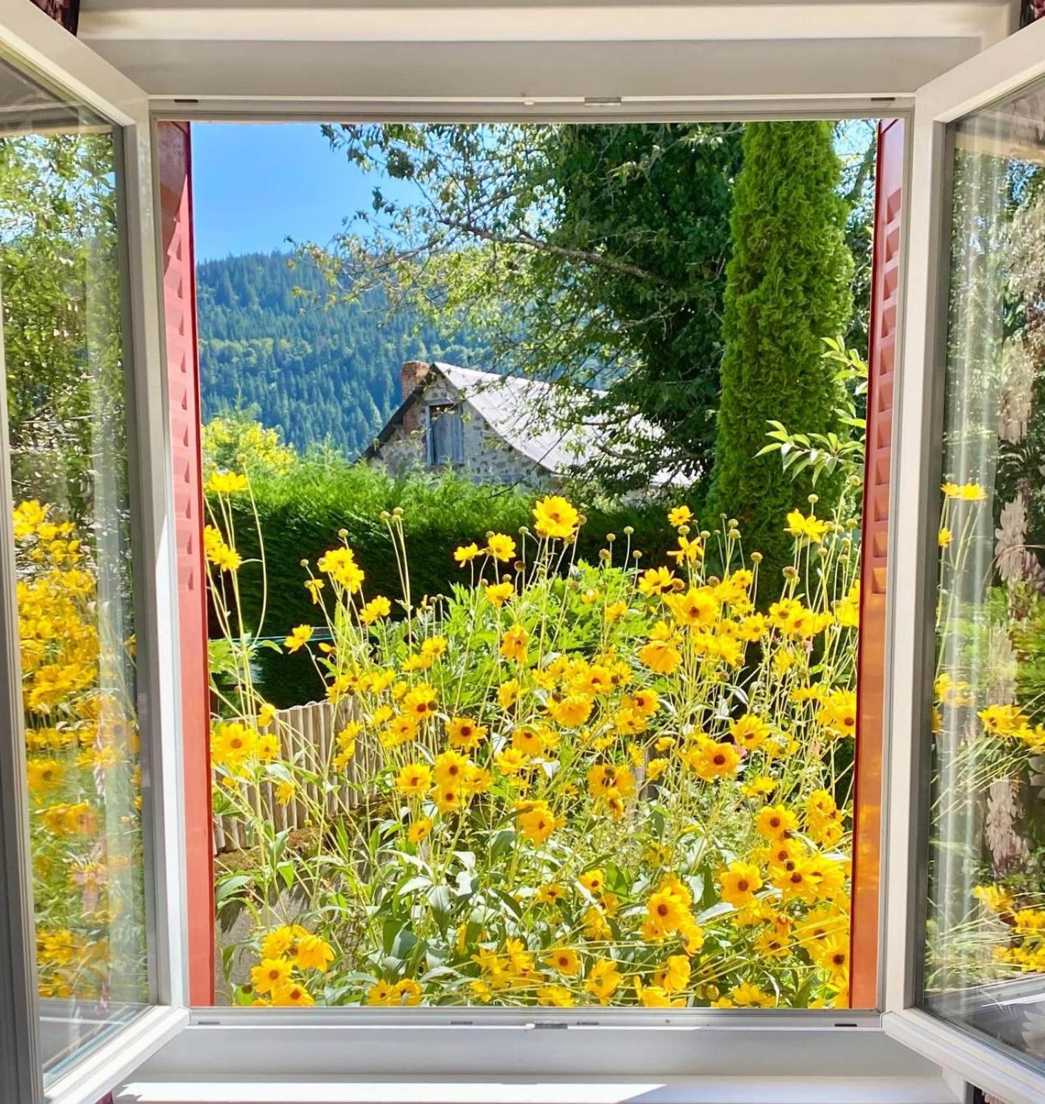 Hotel Restaurant Du Plomb Du Cantal มูราต์ ภายนอก รูปภาพ
